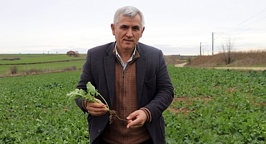 YAĞIŞLAR