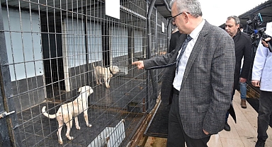 KEŞAN BELEDİYESİ 2022’DE 2 BİN 372 CAN DOSTUMUZA KUCAK AÇTI