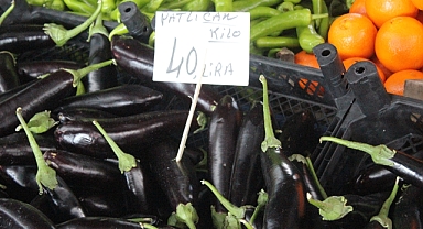 5 ADET PATLICAN 40 LİRA
