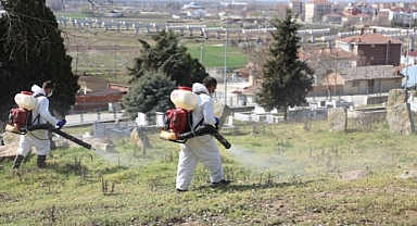 MEZARLIKLARDA İLAÇLAMA ÇALIŞMASI