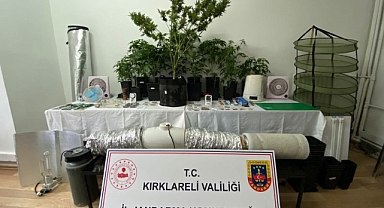 UYUŞTURUCU ÜRETİMİ İÇİN EVİNDE SERA KURAN ZANLI YAKALANDI