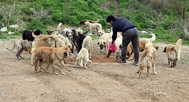 6 YILDIR SAHİPSİZ KÖPEKLERİ BESLİYOR