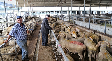KURBAN PAZARLARINDA ALIŞVERİŞ DEVAM EDİYOR