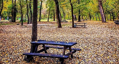 SÖĞÜTLÜK KULLANIMA AÇILMALIDIR