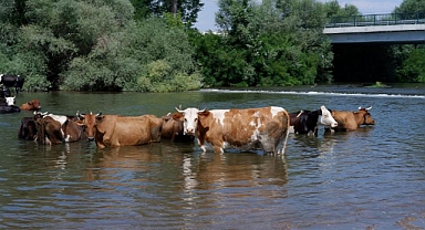 TUNCA NEHRİ’NDE SERİNLEDİLER