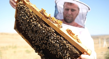AŞIRI SICAKLAR VE KURAKLIK BAL VERİMİNİ DÜŞÜRDÜ
