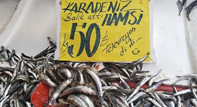 HAMSİ 50 TL’YE DÜŞTÜ