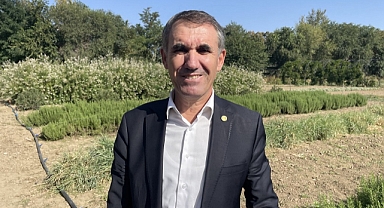 AYÇİÇEĞİNDE VERİM VE KALİTE DÜŞÜŞÜ