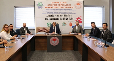 KÖPEKLER KISIRLAŞTIRILACAK
