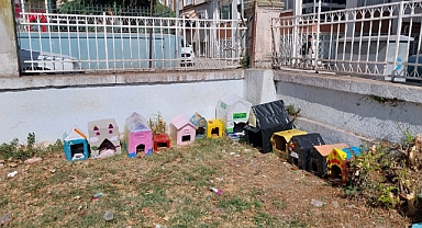MİNİK ÖĞRENCİLER SOKAK HAYVANLARINA KULÜBE YAPTILAR