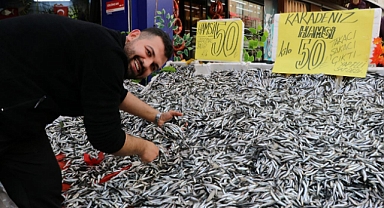 SOĞUK HAVA HAMSİNİN FİYATINI 50 TL’YE DÜŞÜRDÜ