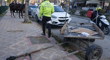 BAŞIBOŞ AT 5 ARACA HASAR VERDİ
