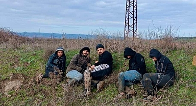 EDİRNE'DE JANDARMA EKİPLERİ 21 DÜZENSİZ GÖÇMEN YAKALADI