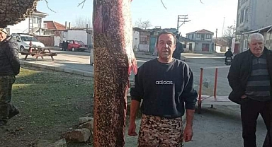 MERİÇ NEHRİ'NDE 2 METRE 30 SANTİMETRELİK YAYIN BALIĞI YAKALANDI