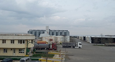MARMARA BÖLGESİNDE ÜPAK KURULUYOR