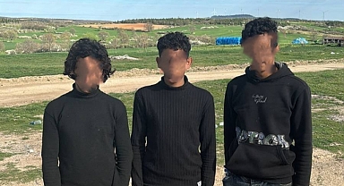Edirne'de 3 düzensiz göçmen yakalandı
