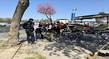 Faytoncular arasındaki silahlı kavgada 2 kişi yaralandı