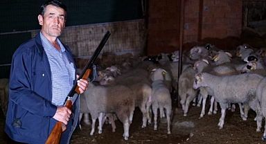 Köy halkı ellerinde tüfekle gece kurt nöbeti tutmaya başladı