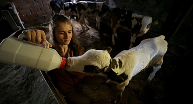 Veteriner hekimler her koşulda hayvanların tedavisine koşuyor