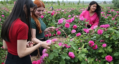 Edirne “gül bahçesi