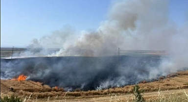 110 dönümlük buğday ekili alan yandı