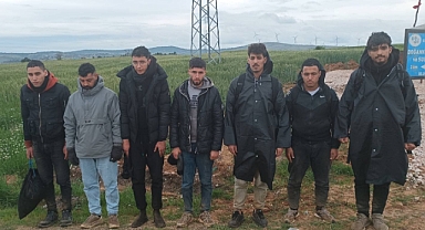 12 düzensiz göçmen yakalandı