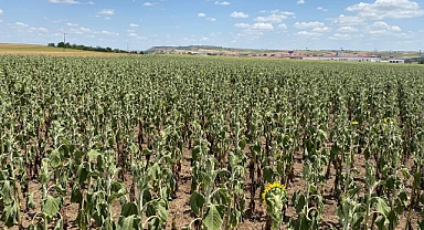 Durum içler acısı