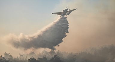 Eceabat'taki yangının kontrol altına alındı