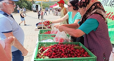Enez Çeribaşı kirazının hasat sezonu başladı