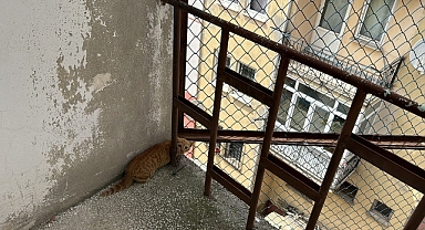 Kullanılmayan binanın yangın merdiveninde mahsur kalan kedi yavrusu kurtarıldı