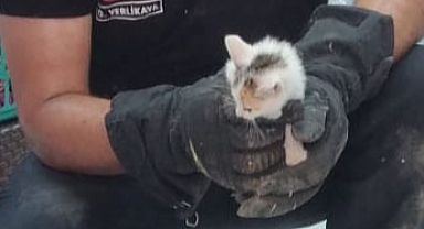 Su borusunda sıkışan kedi yavrusunu itfaiye ekipleri kurtardı