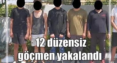 12 düzensiz göçmen yakalandı