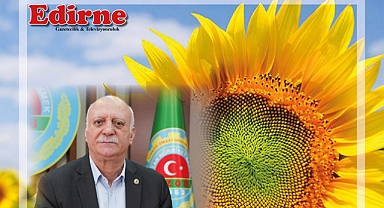 “Ayçiçeğinde verimlilik düşmemesi için fiyat yüksek tutulmalı”