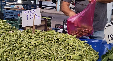 Bamya ateş pahası