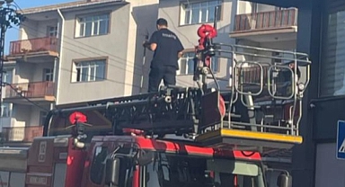 Cam ile korkuluk arasına sıkışan güvercin kurtarıldı
