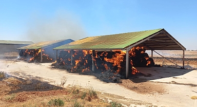 Çiftlikte çıkan yangın söndürüldü