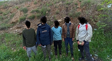 Düzensiz göçmenler yakalandı