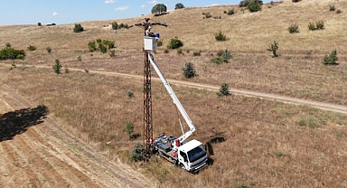 Elektrik telleri şah kartalları için izole ediliyor
