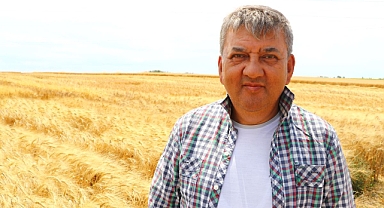 Erkenci buğday çeşitlerinden yüksek verim