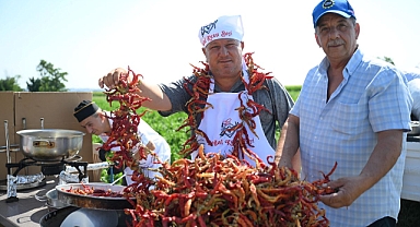 Hasat mesaisi başladı