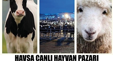 Havsa hayvan pazarı açılıyor