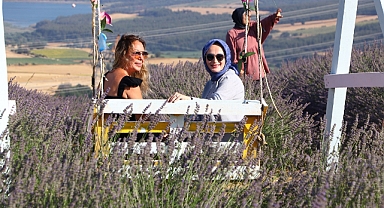 Lavanta şenliği düzenlendi