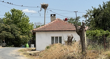 Leyleklere ev sahipliği yapıyor.