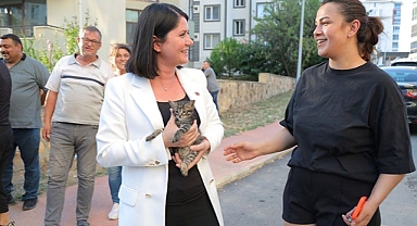 ‘Şans’ emin ellerde