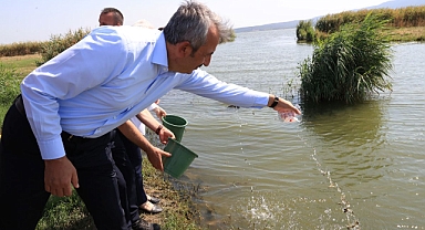 10 milyon yavru sazan balığı baraj ve göletlere bırakıldı