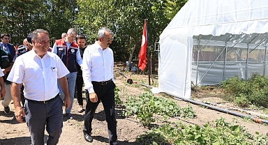 Edirne sebze ve meyvecilikte öncü olacak
