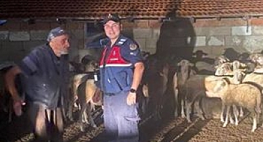 Küçükbaş hayvanlar jandarma ekiplerince bulundu
