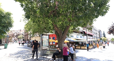 Trakya'da sıcak hava bunaltıyor