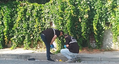 Kamyonetin çarpması sonucu yaralanan kadın öldü