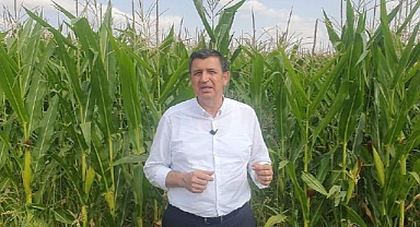 MISIR FİYAT BEKLİYOR, İTHALAT DEĞİL...